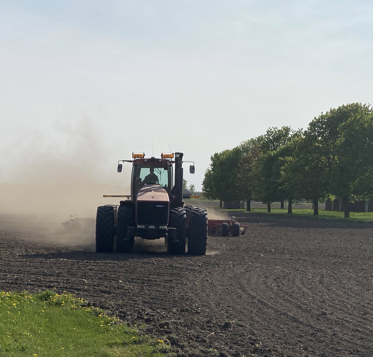 Emily Helmuth tweet media