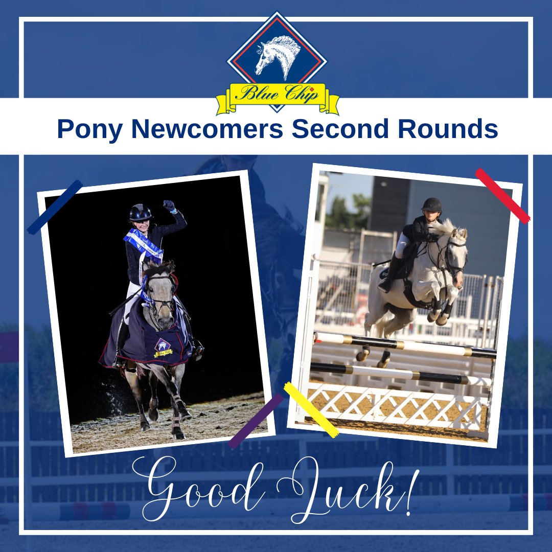 BritShowjumping's tweet photo. 📍Which show are you heading to for the @BlueChipFeed Pony Newcomers Second Rounds?
📸Tag Blue Chip in your pictures and they will share as many as they can.
💙We wish you all the very best of luck in qualifying for the final at @hoystweet.
#bluechipfeed #teambluechip https://t.co/WHcXSPJk2l