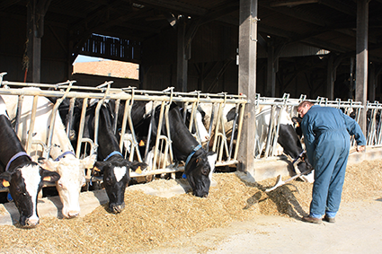 ChambagriPdL's tweet photo. L’analyse fourrage est un outil indispensable pour optimiser la ration et ainsi contribuer à une meilleure maîtrise de la production en élevage @IsabelleLECOMT9 #LARCA 👉https://t.co/iToLCM08XN https://t.co/mEeRfwtqkH