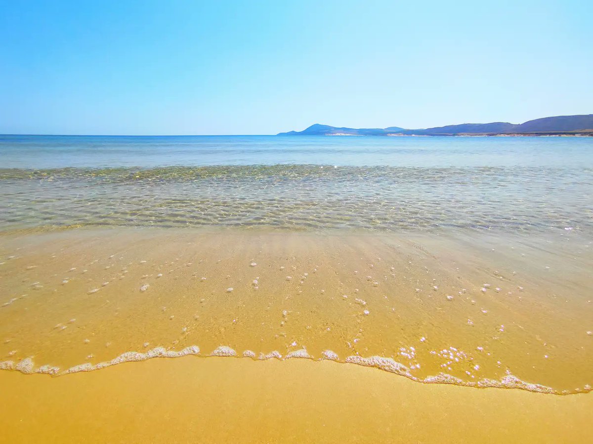 kimou_photos's tweet photo. Ain Damous 🇹🇳 Beach 🏖️ Bizerte, Tunisia

✅ Follow us 😉 to see our daily posts and read our valuable facts  👇 ALT 

#aindamous #aindamous_bizerte🗺️ #landscapephotography #beautifulsea #swiming #clearsea #capenjla #capblanc #summersoon☀️ #bizerte #tunisie🇹🇳 #tunisia #تونس https://t.co/y5eDP03v4b