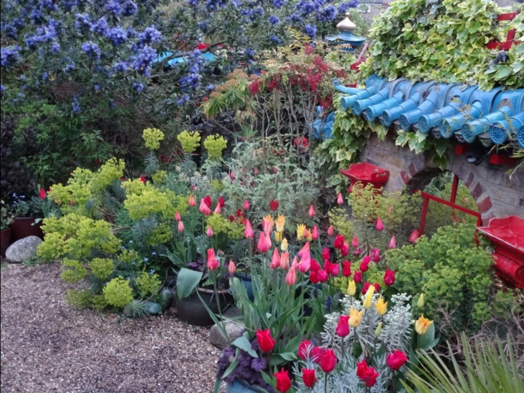 Akili Trust Gardens Event - 30 June - mailchi.mp/f769bbe4450f/a…
Enjoy an evening in one of the ‘great gardens of London’ in Muswell Hill and help raise funds for Akili’s educational work in eastern Kenya.