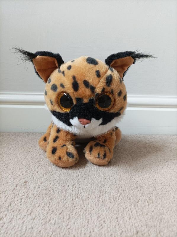 Lost: My daughter lost her very fav... | 14 East Pilton Farm Crescent | posts.whiteboomerang.com/lostteddy/msg/… #LostTeddy