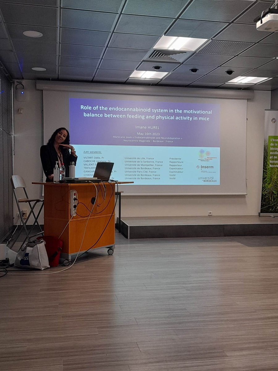 Imane Hurel tweet media