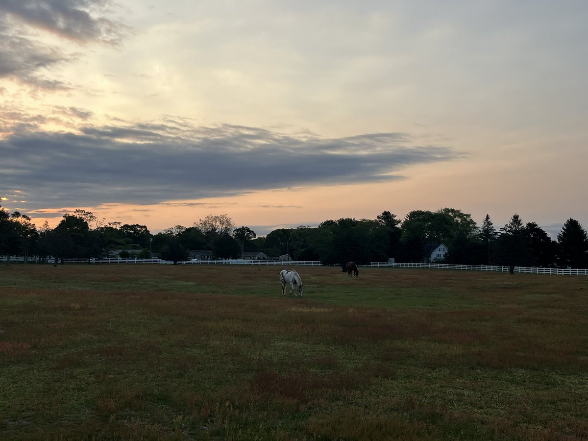 chrislb104's tweet photo. Tall Reeds, horses sunrise, 🪺🤞🏻, waves #maymorning #rinature #buttonwoodsbeach https://t.co/m7P3naAiIJ