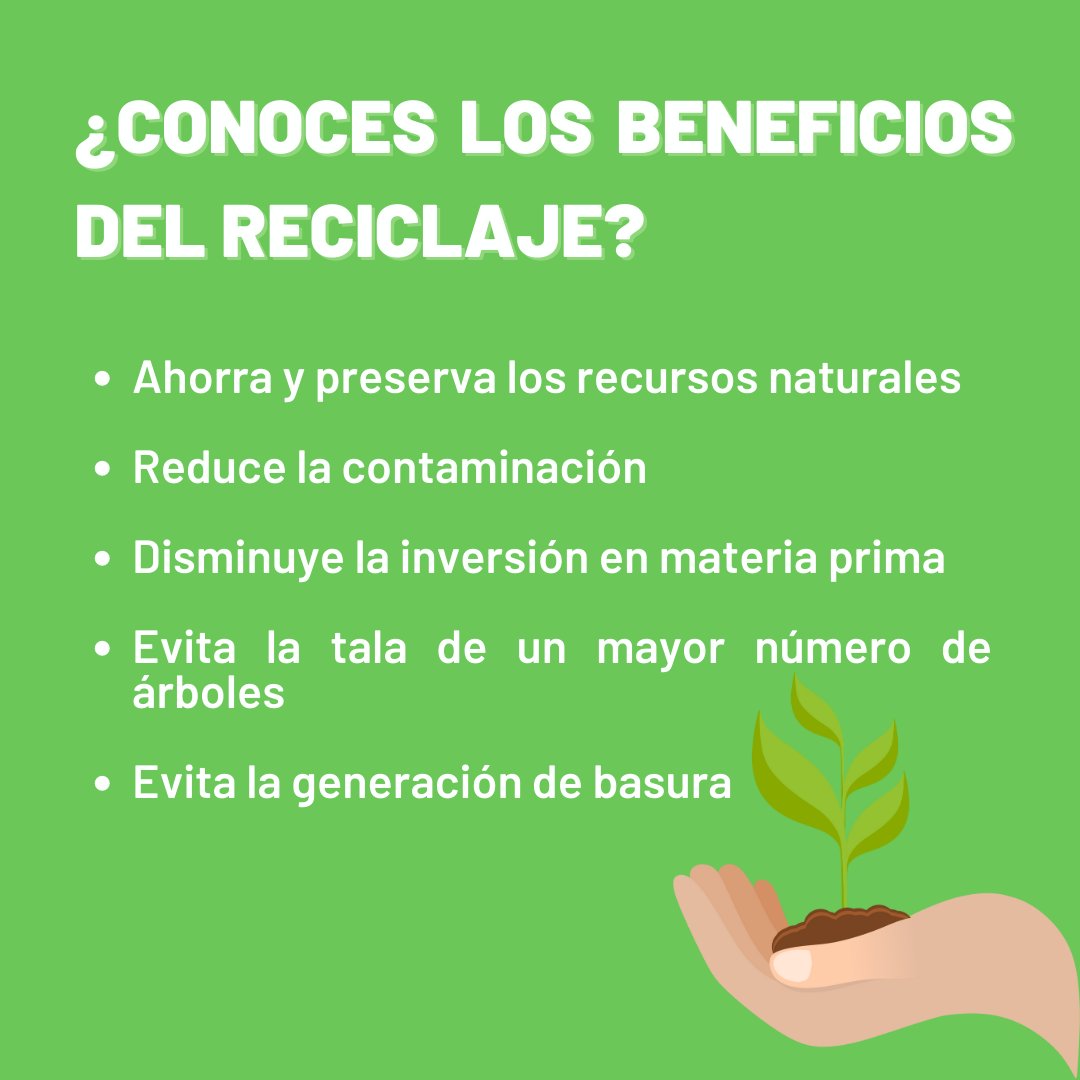 Green Globe SyPA tweet media