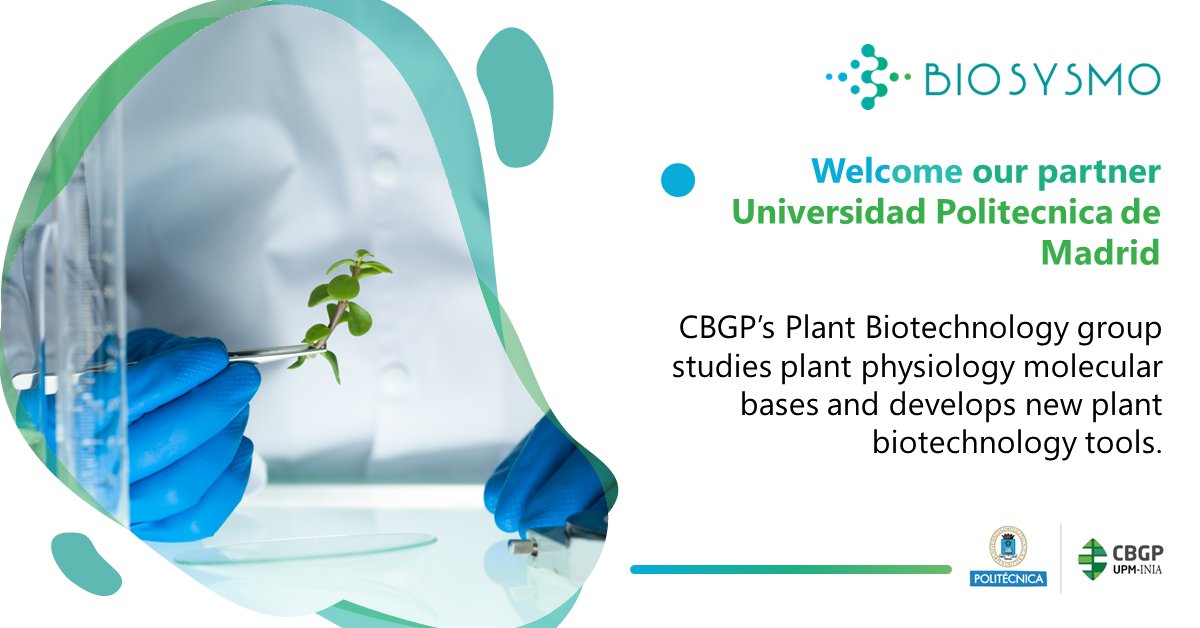 biosysmo's tweet photo. Meet @La_UPM!
🦠 The @CBGP_Madrid #Plant #Biotechnology group🧪 focuses their efforts under @biosysmo on #geneticengineering of #poplar for improved metal uptake and #endophyte colonization.
🔎 Read More: https://t.co/e9K3a3FkJ6
#BIOSYSMO #HEU #UPM #CBGP #consortium https://t.co/TcmKeiOFL6
