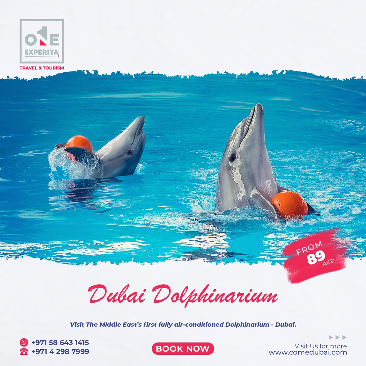 Experience an amazing Dolphin adventure like no other! 📷📷📷
Be impressed by their talents in this 45-minute indoor interactive extravaganza only at Dubai Dolphinarium 📷📷
#lovedubaidolphinarium #dubaidestinations #dubaiattractions #thingstodoindubai #visitdubai #comedubai