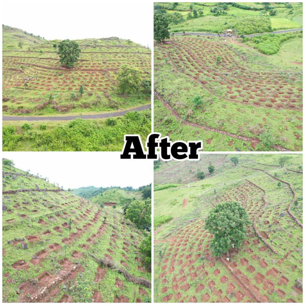 #NaturalResource Management is the core focus under #MGNREGS. #StaggeredTrench with #ShadePlantation executed in 19.35 ha area at Vil: Badbafla, GP: Gopinathpur, @KldBlk_ThRampur in Kalahandi District under #MGNREGA in 2022-23. It is useful to check soil erosion in this high land