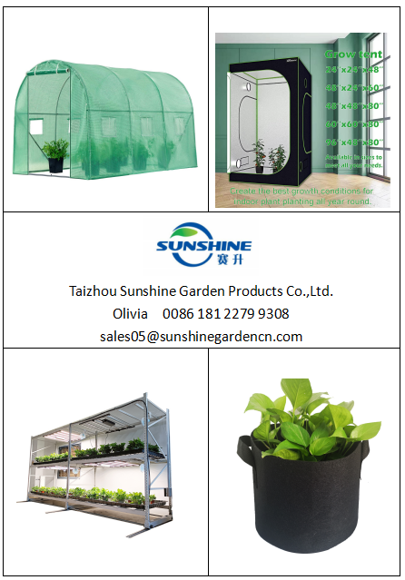 👑 Also Best Sellers!👑

#growtent #gardenraisedbed #rollingbench #growbag #fabricpot
#MetalStorageShed #MetalShed #StorageShed #GalvanizedSteelShed #GardenShed #MetalGardenShed #OutdoorShed #MetalShed #SzklarniaMini #Szklarniatunelowa #SzklarniaTunel #szklarniaogrodowa
