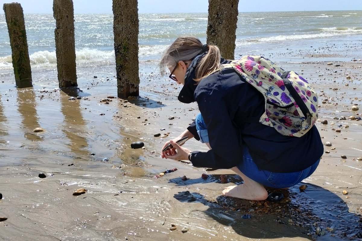 RawlinsonJulia's tweet photo. ๐Pebble rainbows๐ I love how a beach can look like a sea of grey and brown, but the more you look, the more you see. By the end of a week wandering the shore and nestling in pebbly hollows, so many colours #PevenseyBay #NatureRainbow #PebbleRainbow #OutdoorLearning https://t.co/GmJg3ZNa5c