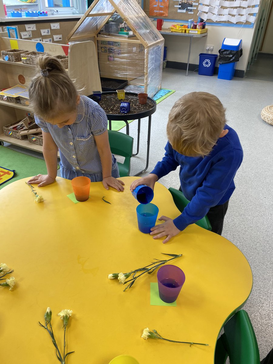 DeltaWillowsAc's tweet photo. Reception are starting to innovate their instructions! Together we are innovating “How to colour change a flower”  🌸 #tfw #creativehook https://t.co/IhA0x1Xmsz