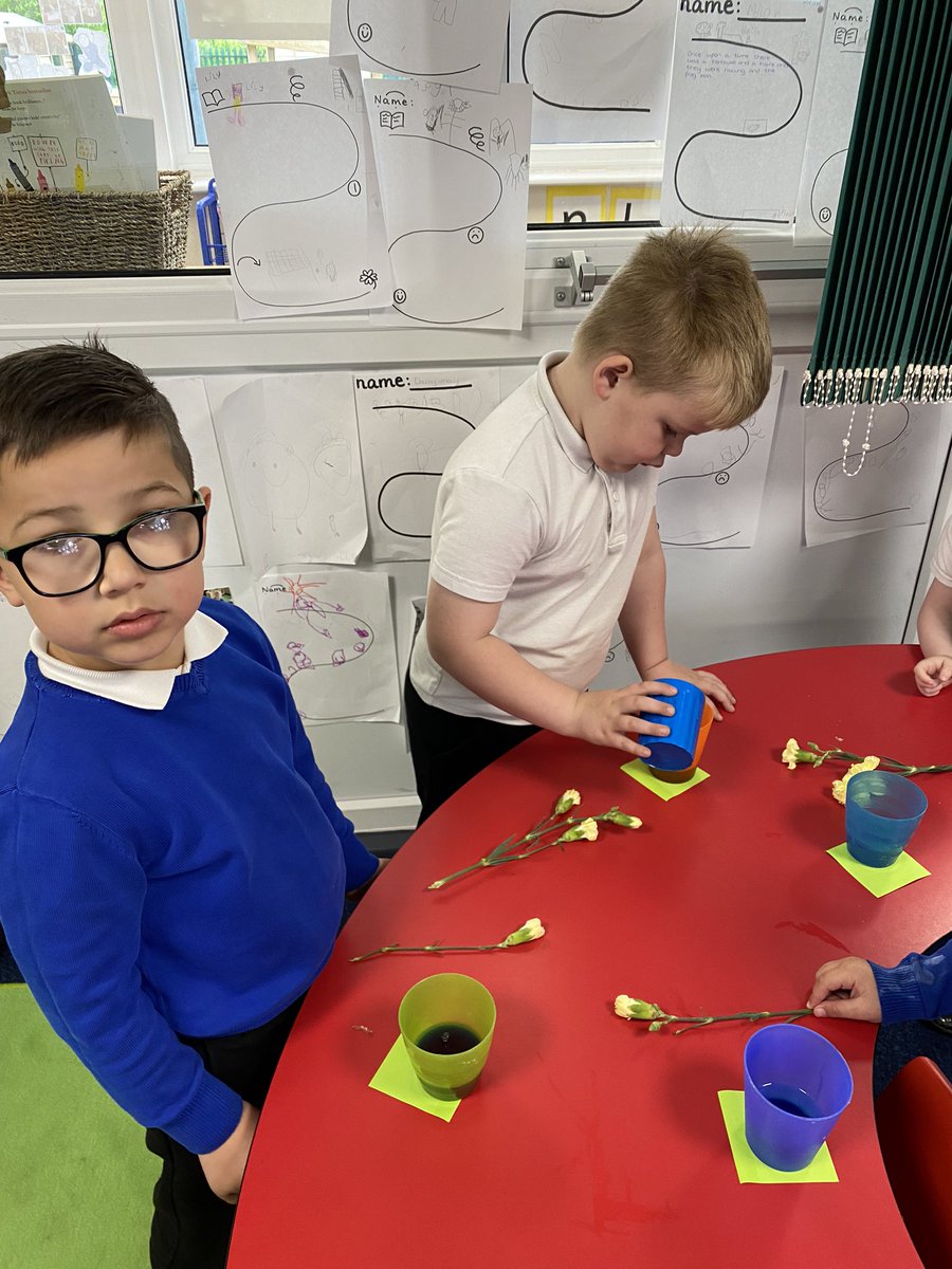 DeltaWillowsAc's tweet photo. Reception are starting to innovate their instructions! Together we are innovating “How to colour change a flower”  🌸 #tfw #creativehook https://t.co/IhA0x1Xmsz