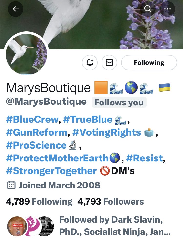 Mary @MarysBoutique only needs 207 likeminded folks to break the 5K barrier. Let’s help her get there. #StrongerTogether with #DemValues RT