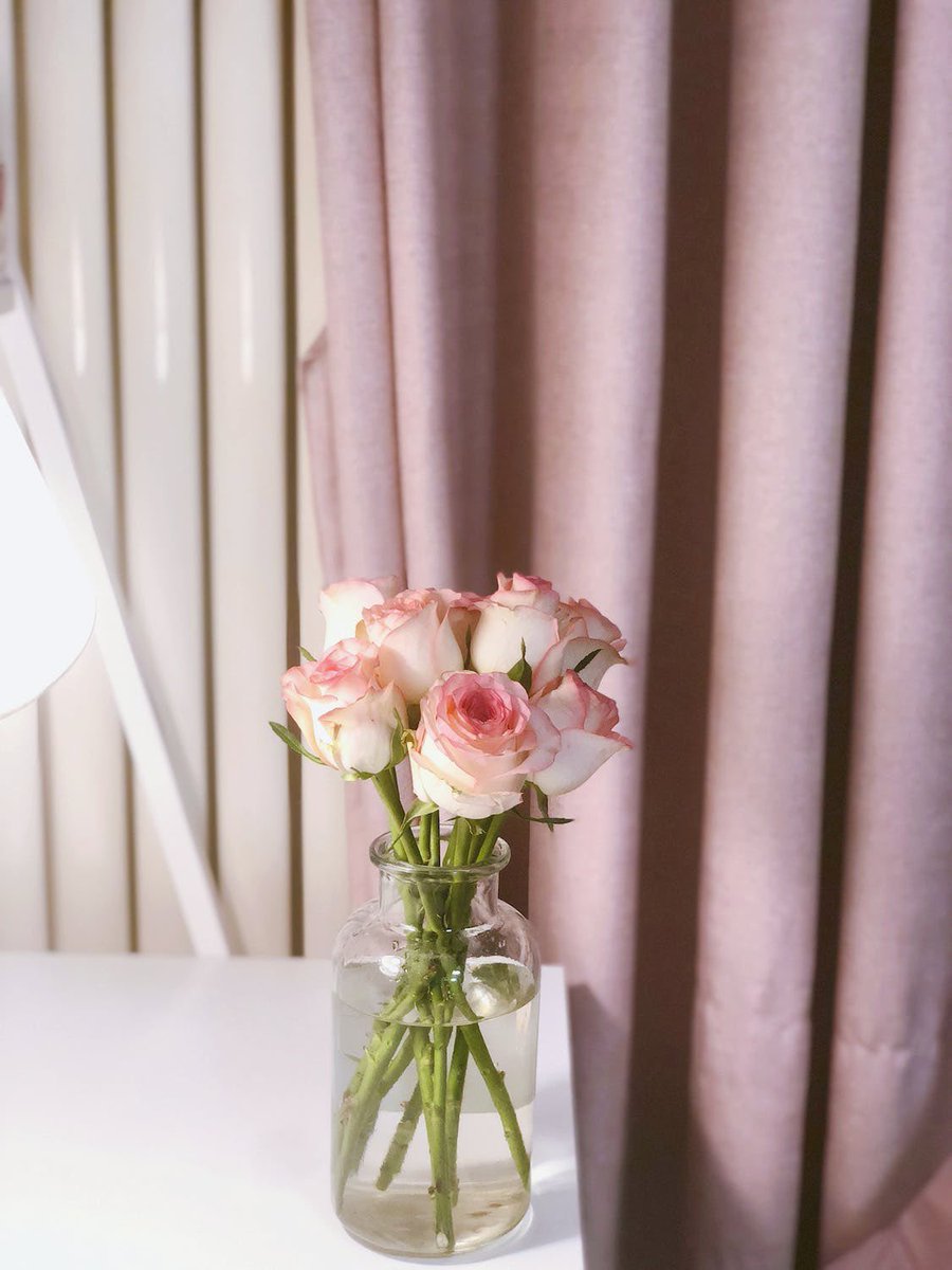 wonderhouseug's tweet photo. 💐Preserve the beauty: Embrace your roses in a water-filled embrace!
#WonderHouse #RosesInBloom #flowertips #flowerpreservation https://t.co/ldOTW2fouD