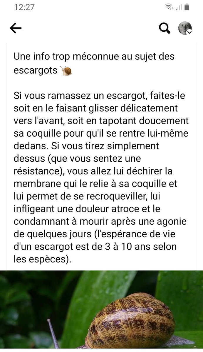 IvanDrLghn's tweet photo. ⚠️ aux 🐌 
Faites circuler. https://t.co/ZB2QWtzk2v
