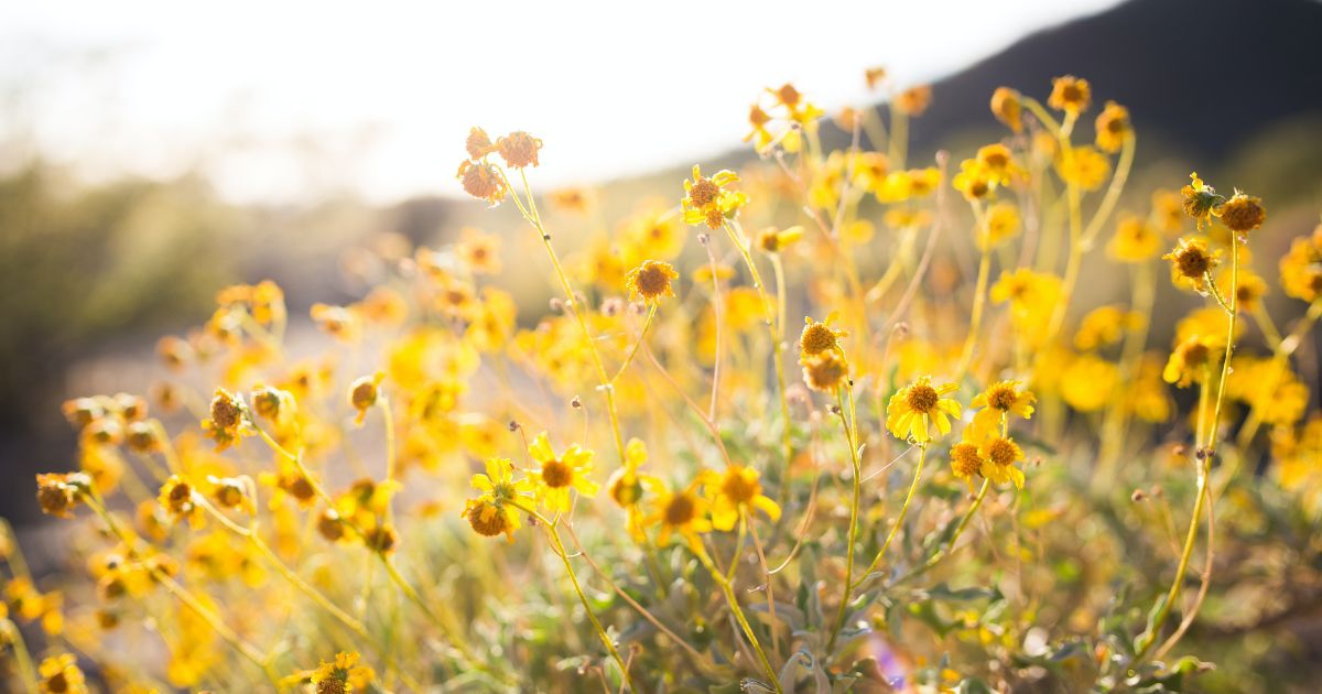 Bodies. Heavenly bodies, bodies of government, homebody, body positive, body shop, world body, body image, bath and body, body weight, body of work, body dysmorphia, body part, body language, embody, your body, my body. What is your relationship... - mailchi.mp/c26e69c43cb1/s…