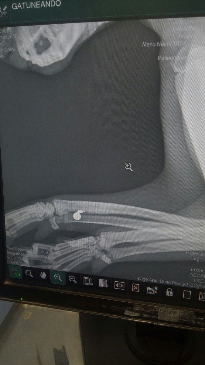 Animalistas Euskadi tweet media