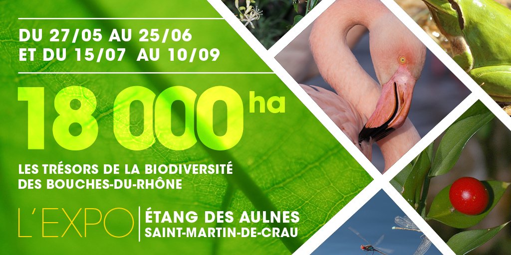 departement13's tweet image. 🌿Découvrez l&apos;incroyable biodiversité qui nous entoure !

Ne manquez pas cette occasion unique de découvrir la richesse écologique de notre territoire et ses nombreuses espèces au travers de l&apos;exposition &quot;18 000 ha&quot; au domaine de l&apos;Étang des Aulnes.

👉departement13.fr/actualites/det…