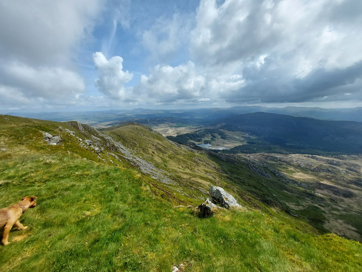 gethingw's tweet photo. Ar y #Diffwys codi bylchau #bendigedig https://t.co/cZluegtRO9