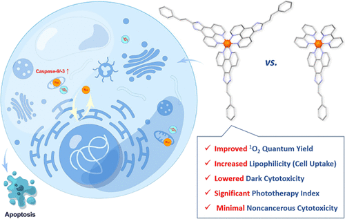 bhkenlo's tweet photo. More-Is-Better Strategy for Constructing Homoligand Polypyridyl Ruthenium Complexes as Photosensitizers for Infrared Two-Photon Photodynamic Therapy https://t.co/ueAZf68qJY Gao and co-workers @InorgChem #ruthenium #two_photon #PDT #ROS #mitochondrion https://t.co/wO2FgCgeOb