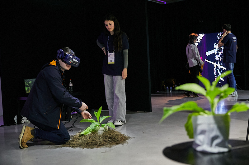 Recto VRso Festival tweet media