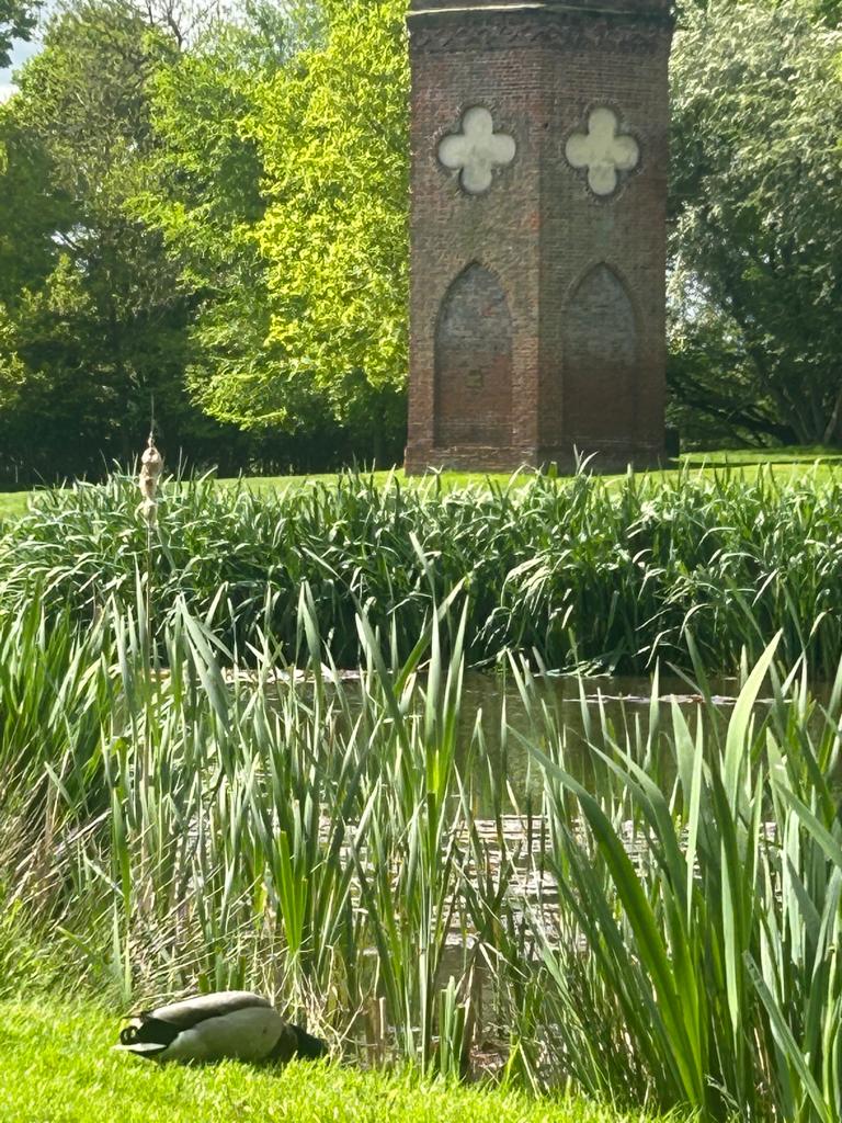 Brocton Hall Golf Club tweet media