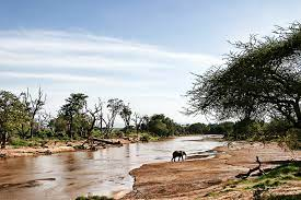 Calyviews's tweet photo. The environment in Kenya is facing a number of challenges, including:
🔷Deforestation
🔷Soil erosion
🔷Desertification
🔷Water shortage
🔷Degraded water quality
🔷Flooding
🔷Poaching
🔷Domestic and industrial pollution
🔷Health problems https://t.co/7WcKLLwpTn