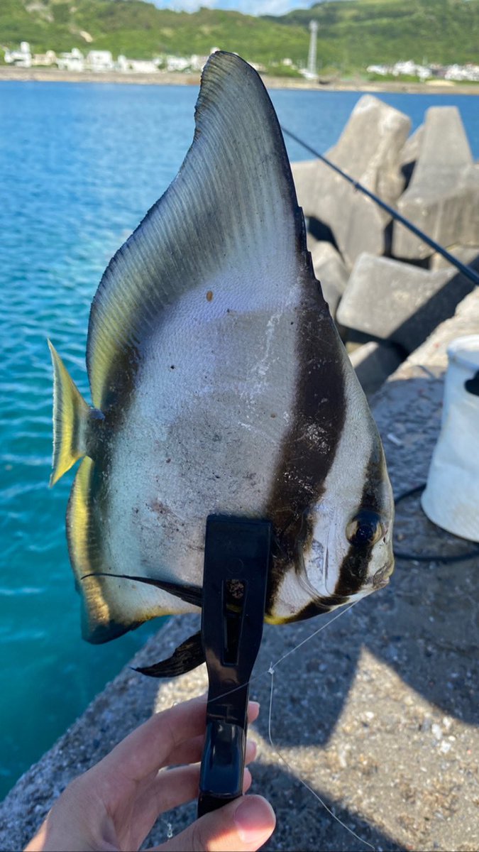 yuuuufishing's tweet photo. https://t.co/xhRkESWH5G