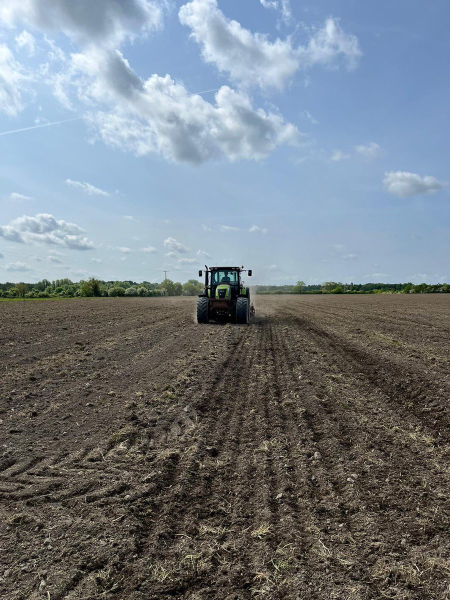 Biodynamic grower Trevor Harris is finally getting seed into the ground in Co. Kildare.