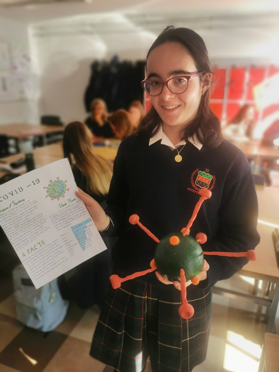 Amazing  3D models of viruses and bacteria created by TY2 in TY Science. Students researched  a microorganisms of their choice and presented their findings to the class. #science #activelearning.