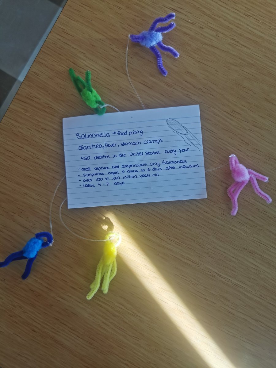 Amazing  3D models of viruses and bacteria created by TY2 in TY Science. Students researched  a microorganisms of their choice and presented their findings to the class. #science #activelearning.