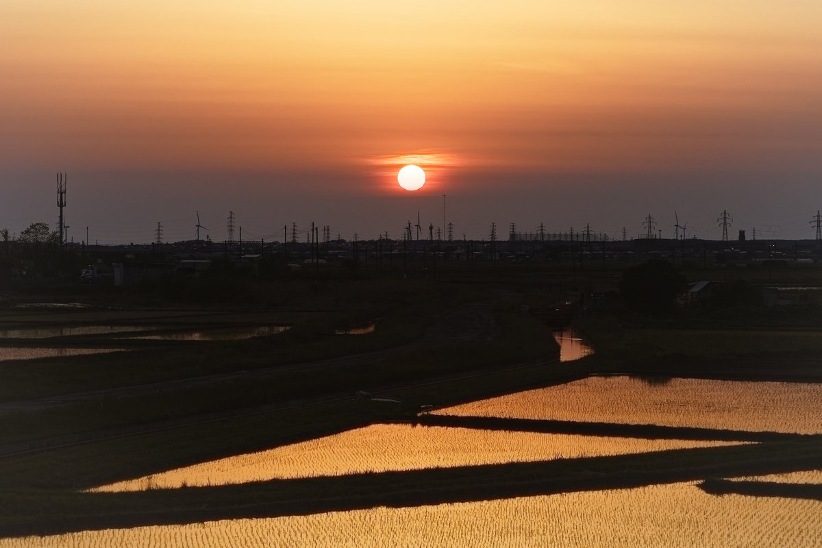 お仕事終わりの夕暮れ空(*´꒳`*)もう夏みたいな気温で湿度も凄くて夕焼けが鮮やかで綺麗にゃ♪