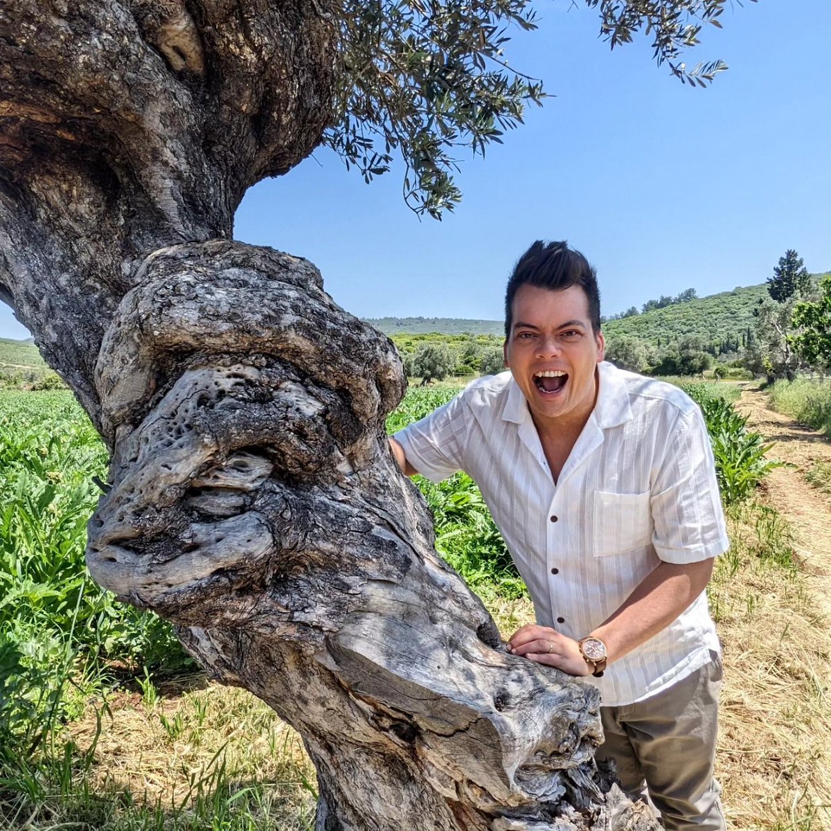 NICK KWEK 💡 tweet media