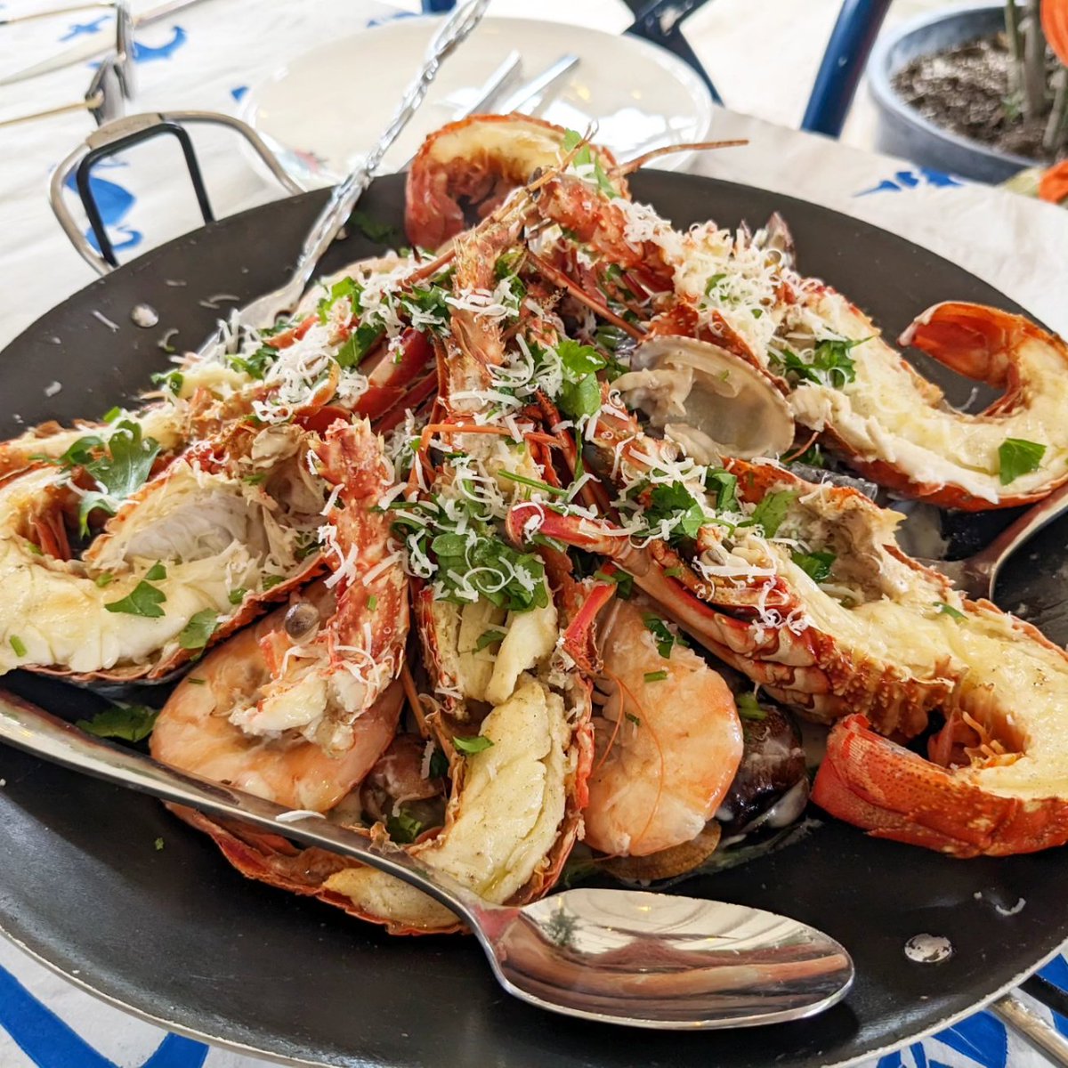 NICK KWEK 💡 tweet media