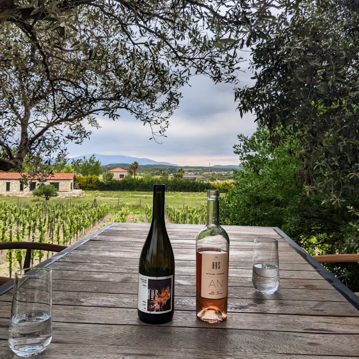 NICK KWEK 💡 tweet media