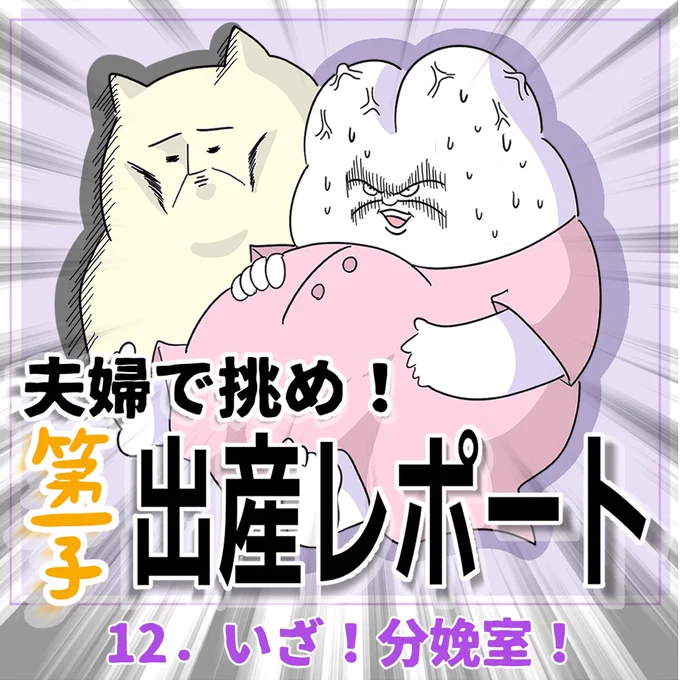 夫婦で挑め!第一子出産レポート
第12話 いざ!分娩台!(1/3)

今度は貴様か!

#育児漫画 #出産レポート #マンガが読めるハッシュタグ #漫画がよめるハッシュタグ #陣痛促進剤 #促進剤 #陣痛 #うんこ 