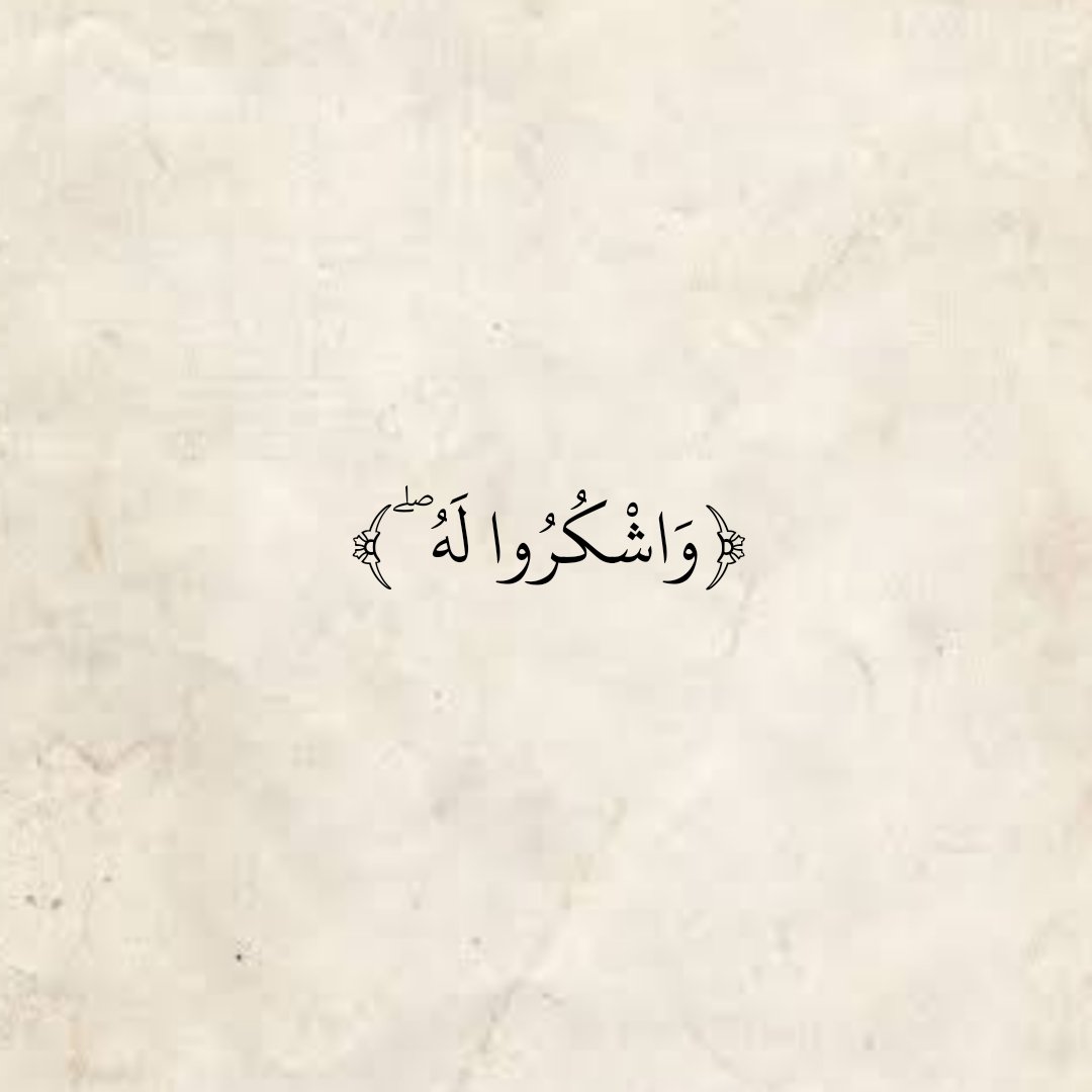 المُصْحَف (@almosahf) on Twitter photo 