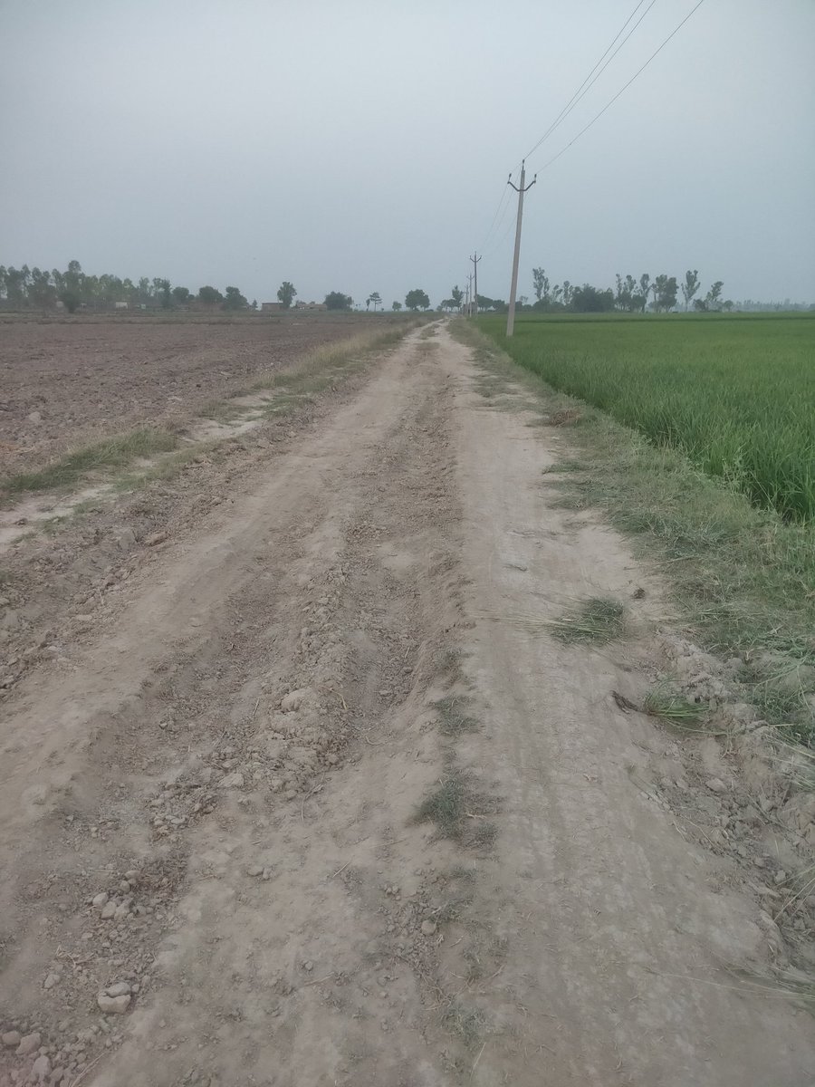 Condition of road in Village chakarpur post tikunia, Lakhimpur kheri UP @PMOIndia @DmKheri @BJP4India @INCIndia @sardesairajdeep