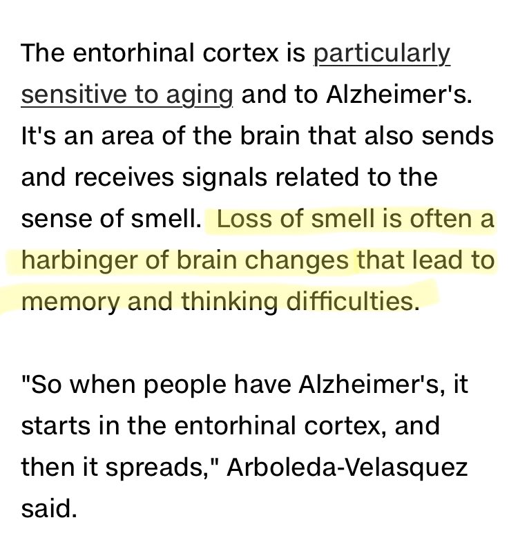 The loss of smell from covid is a sign of brain damage. It’s not mild. #NotMild