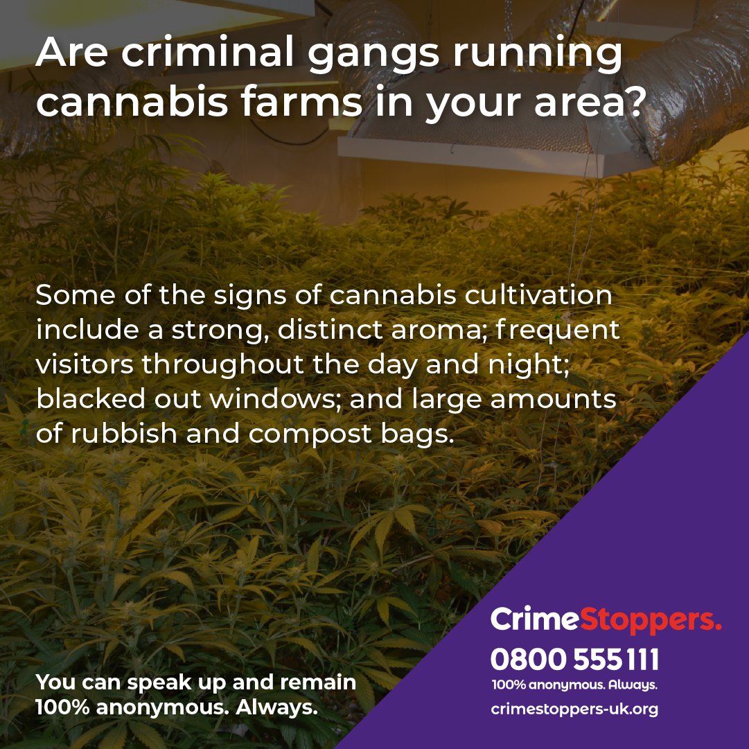Would you notice an illegal cannabis farm in your local area?

#SignsToSpot include: noise from fans, a sweet, sickly aroma and blacked out windows.

If you've spotted any of these signs, speak up, 100% anonymously to our charity: bit.ly/CannabisCrimin…