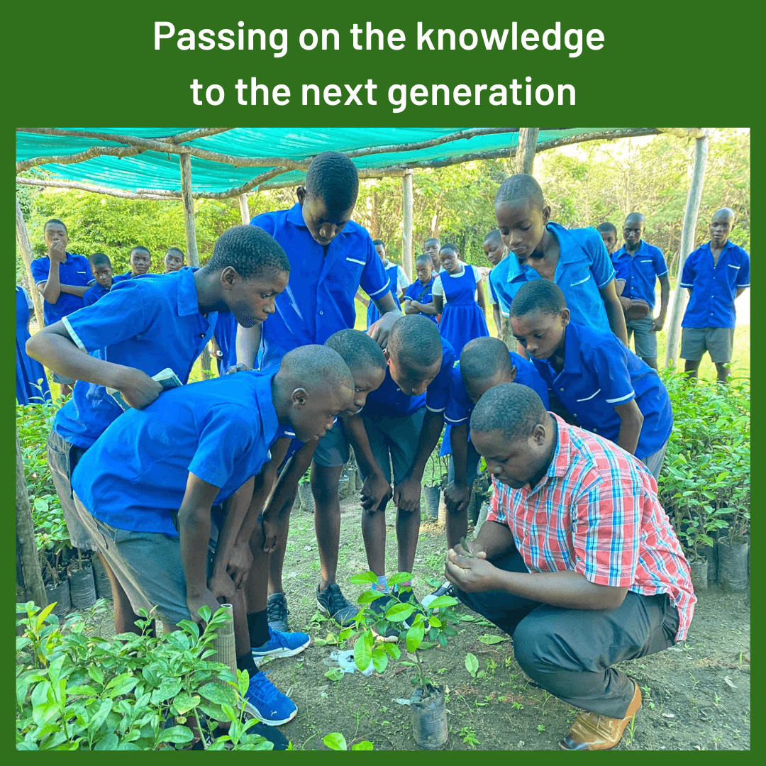 🍊 Here we're talking with local primary school students, teaching them all about budding, grafting and raising fruit trees at our specialist tree nursery. Students then take this knowledge home to help their families grow #fruit #trees. Learn more here: rippleafrica.org/fruit-trees/