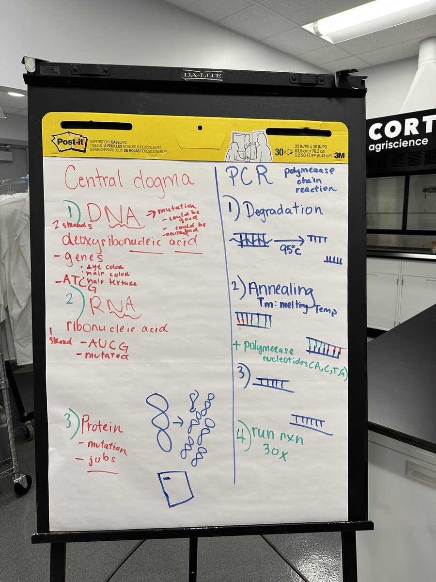 Ellen 🧬🥼 tweet media