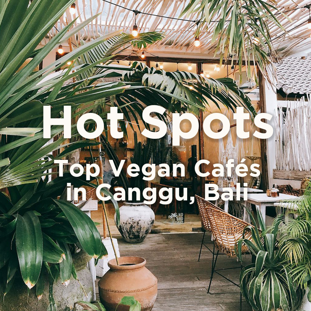 RossnowlaghSC's tweet photo. SurfGirlMag: Canggu is loved for its mellow surf, hipster cafés and laid-back vibes. For the vegans after post-surf fuel, we’ve rounded up some of our favourites spots serving up delicious plant-based goodness: https://t.co/3ddRS08FCS https://t.co/Y5PYdoL0ju