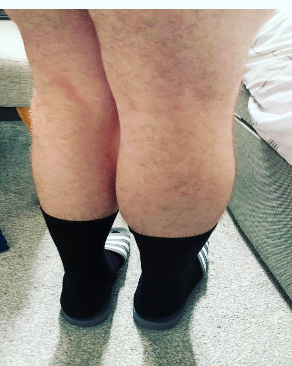 nonbinary80's tweet image. 