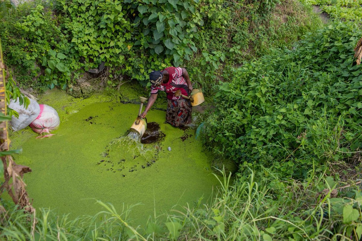 zapping_ci's tweet photo. Côte d’Ivoire : Le développement c’est toi, c’est moi et nous toutes et toutes. Inspirons nous de Mme 𝐙𝐚𝐦𝐩𝐚𝐥𝐢𝐠𝐫é 𝐀𝐬𝐬é𝐭𝐨𝐮 (𝟔𝟑 𝐚𝐧𝐬) qui cultive de la laitue

#development #cotedivoire #CIV #Afrique #CIV225 #ivoirien https://t.co/qWJUl6lIgg