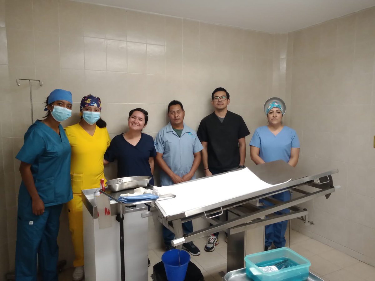 CANIrapuato's tweet photo. 🐾 Vamos a mitad de semana y nuestra Jornada de Esterilización Canina y Felina avanza al 💯. Gracias al personal de la @JSVI_Irapuato y a los alumnos de la @UdeGuanajuato por echarnos la mano y demostrar que con #ConUnidad logramos más. Sé un #DueñoResponsable.

#CANIAmigos https://t.co/IQFOJnhUUK