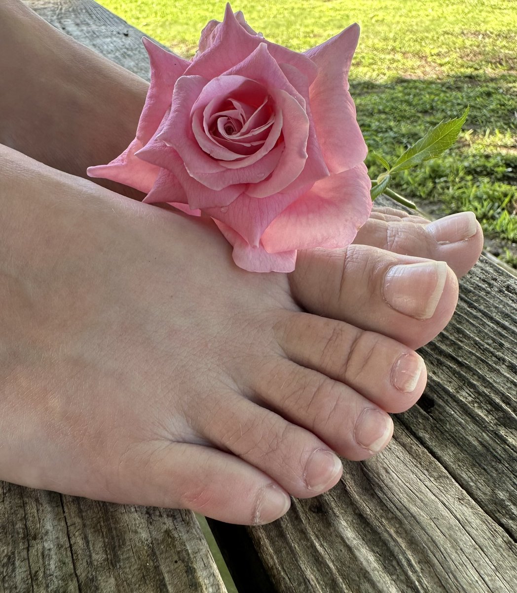 CarmanJenk37464's tweet photo. Pretty Petals
#smellslikeroses #feetpics #fetish #c_and_j #of #onlyfans #feetfinder
#nonailpolish #toes https://t.co/NOzCMazHUe