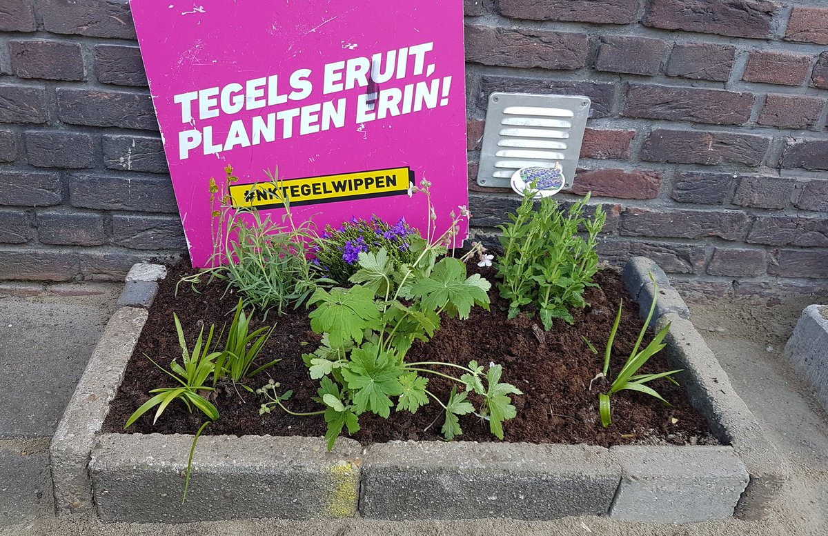 KarinPadmos's tweet photo. #klusjetussendoor #geveltuin aanleg. De bewoners uit #blijdorp hebben gekozen voor 2 mini geveltuintjes, zodat er ook nog plaats is voor een bankje. Heerlijk toch? #GroenNoord doet graag mee aan #tegelwippen. #weesplantjes #elketegeltelt dus #tegelseruit #groenerin
@tegelwippen https://t.co/qcApoSNlge