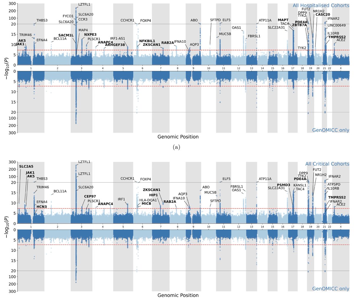 Eric Topol (@erictopol) on Twitter photo 🆕 <a href="/Nature/">nature</a>
We use rudimentary clinical risk factors for who may develop critical Covid, such as age. But now there are 49 genomic loci that associate with increased risk, help to elucidate biology, no less possible treatments
nature.com/articles/s4158… <a href="/erolaPC/">Erola Pairó Castiñeira</a> <a href="/kennethbaillie/">Kenneth Baillie</a> 🆕 <a href="/Nature/">nature</a>
We use rudimentary clinical risk factors for who may develop critical Covid, such as age. But now there are 49 genomic loci that associate with increased risk, help to elucidate biology, no less possible treatments
nature.com/articles/s4158… <a href="/erolaPC/">Erola Pairó Castiñeira</a> <a href="/kennethbaillie/">Kenneth Baillie</a>