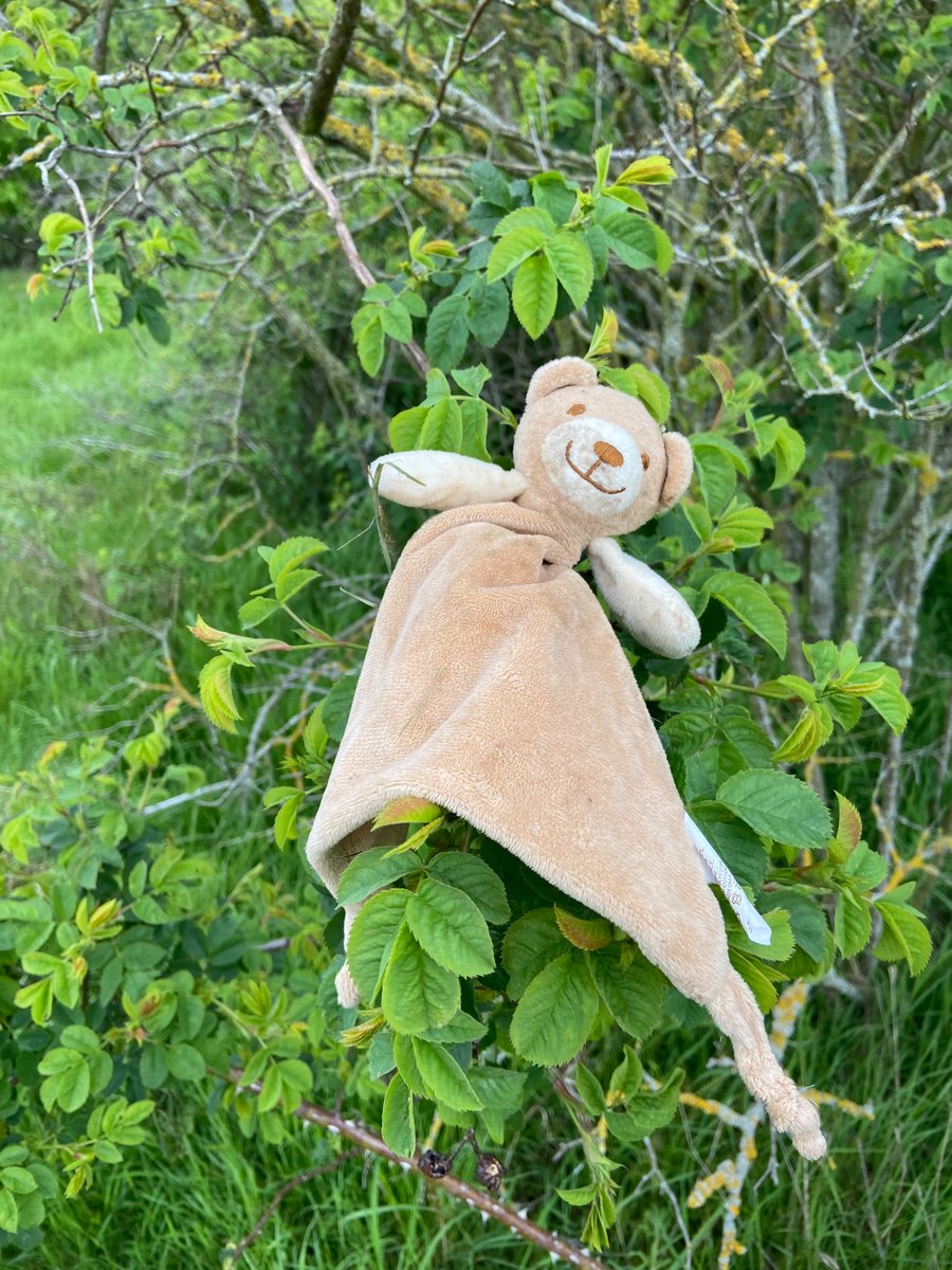 jo_mdolan's tweet photo. @PypeHayesPark @PypeHayesPark just found this comforter in the bottom field. Hung it on a tree! I hope it finds its owner ❤️ https://t.co/ReaiMJY7J4